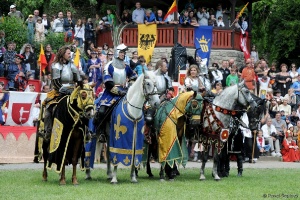Královské stříbření 2011